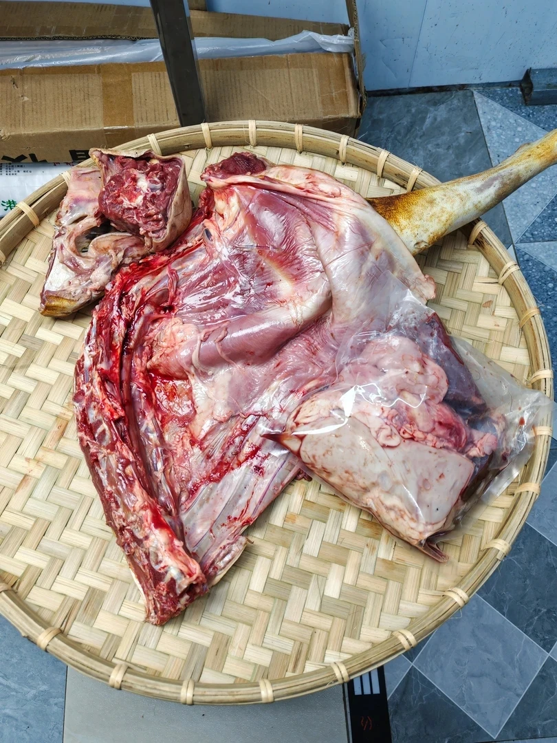 黑山羊后腿葡带杂1/4分体顺丰冷链包邮
