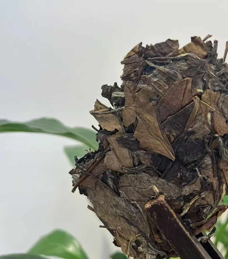 【貂蝉茶话馆】鼎 2009年老寿眉饼 品鉴装50克（拆开不退不换）