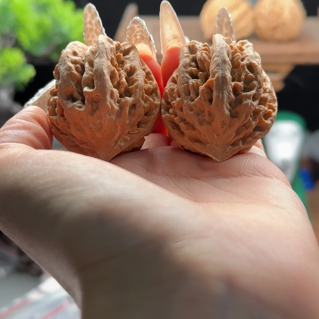 文玩核桃把件关东木子楸百核140花皮