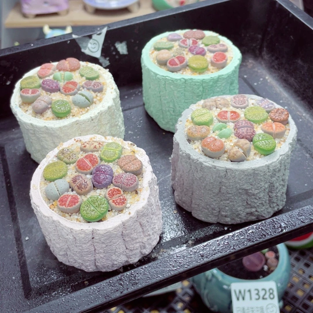 w1329 零下地区拍保温箱
