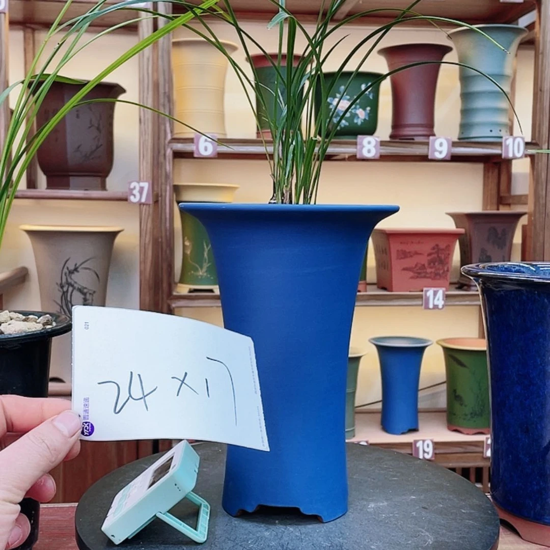 【闪购商品】紫砂花盆兰花122555556663355555