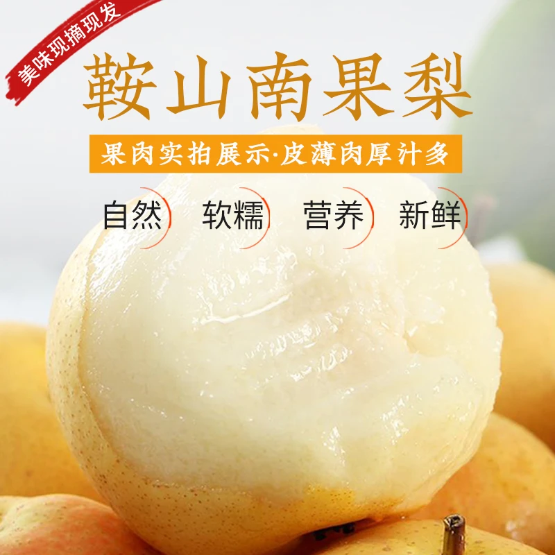 【大伟说球/南果梨】全规格/九龙湖种植基地直发/5斤装/青果发货