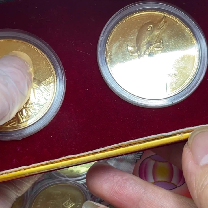 其他普通金属横渡长江纪念章一对