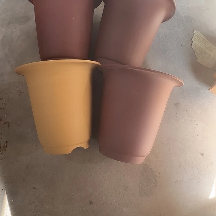 田****20×19四只     专拍