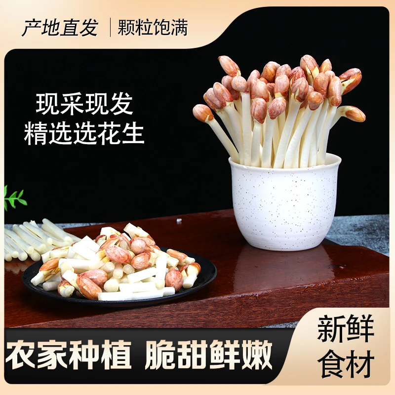 袋装新鲜现采水培花生芽苗菜甘甜脆嫩酒店火锅食材