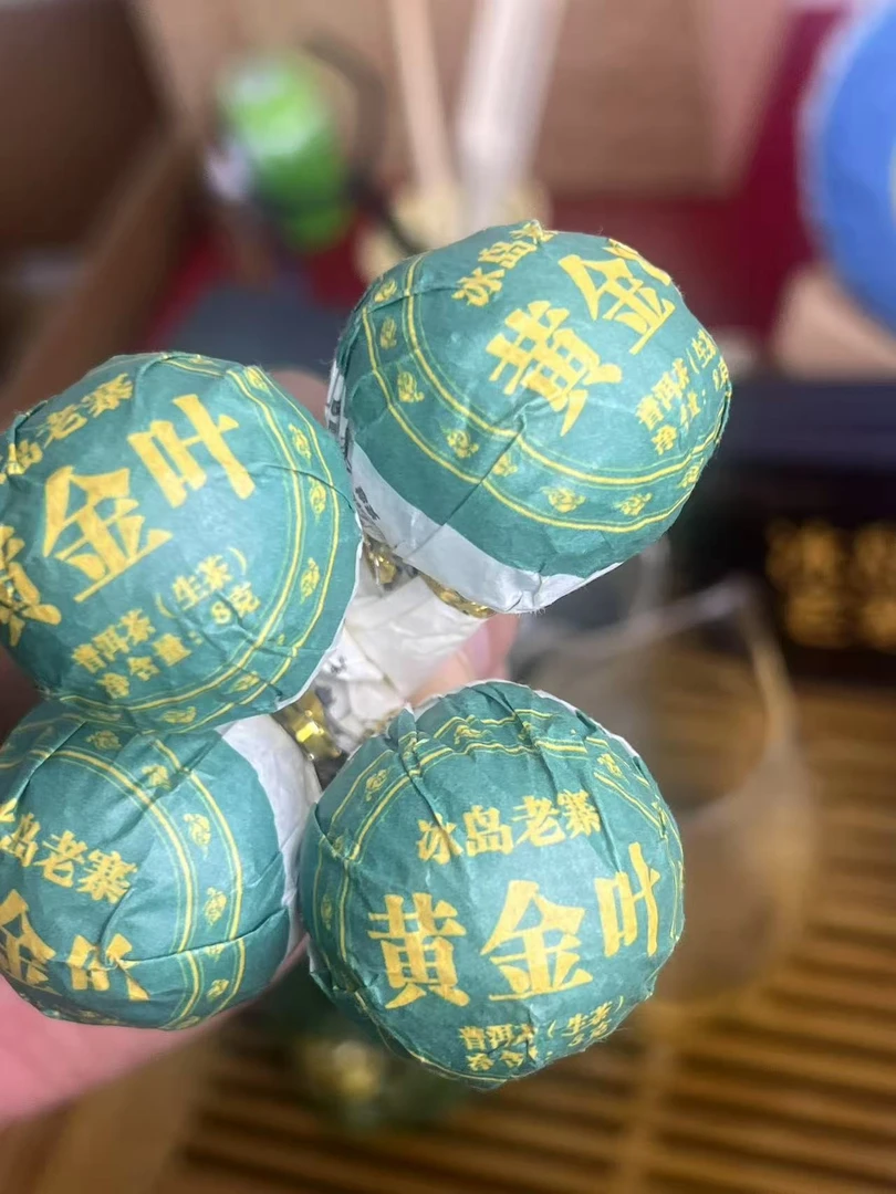 2024年冰岛老寨古树黄金叶纯料春茶龙珠