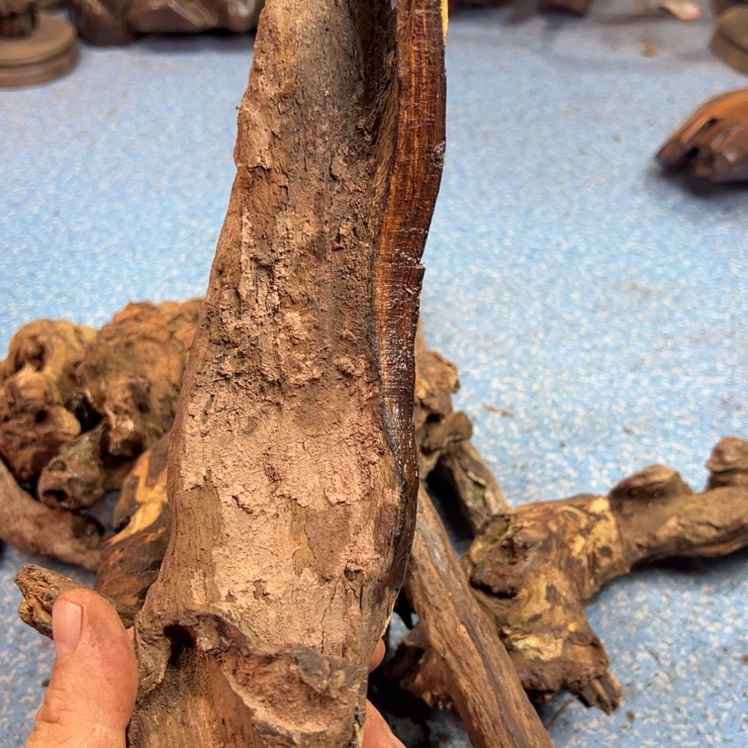 喳***呼黄花梨/降香黄檀老料