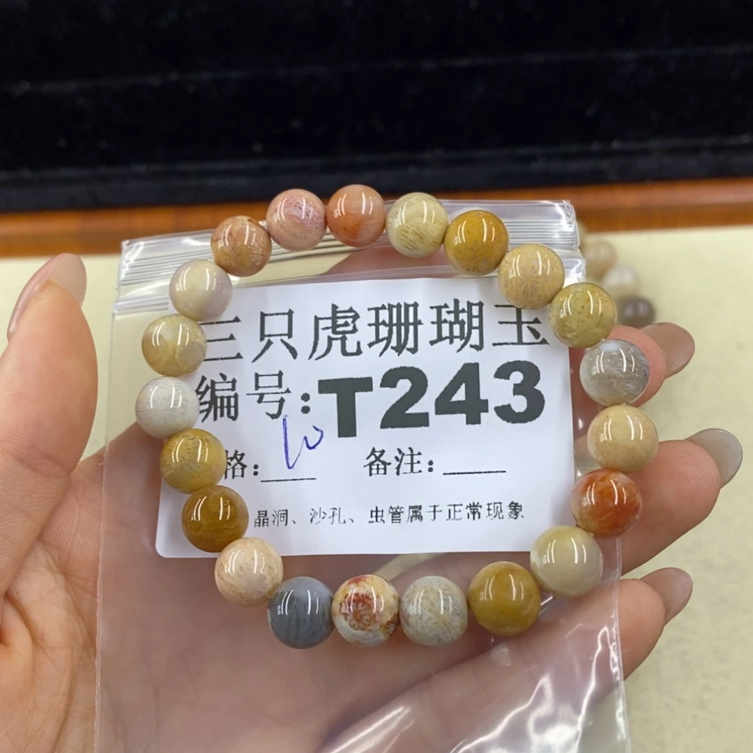 硅化珊瑚（珊瑚玉）1未镶嵌甜*