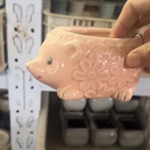 ····全是福利····5037