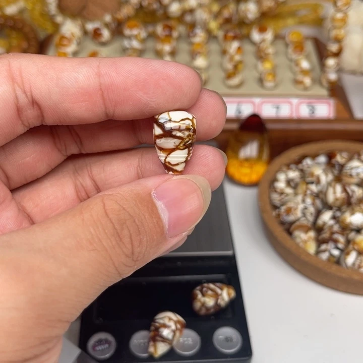 老*86号0000000000000