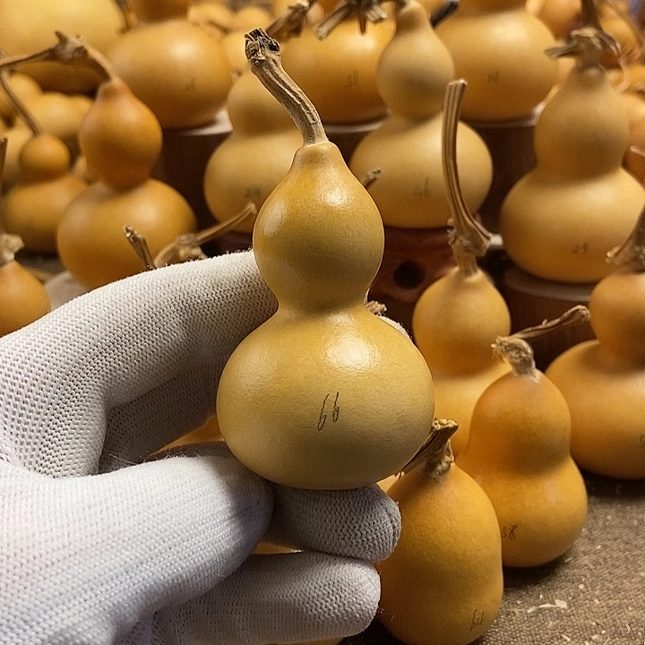 文玩葫芦 完美主义者 慎拍66