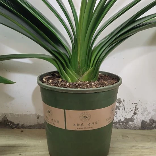 完全开放11111111111