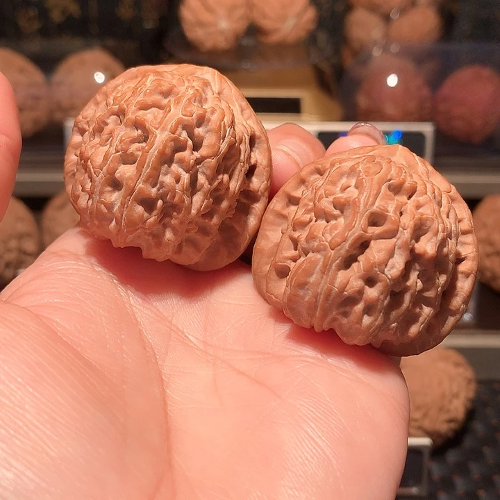 文玩核桃把件白狮子