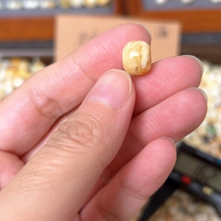 蜜蜡未镶嵌裸石10.3mm一个