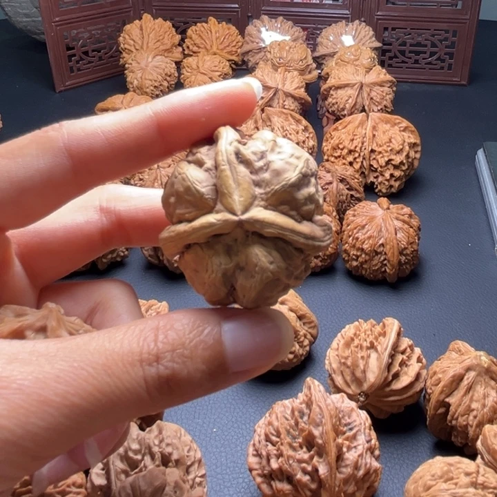 是****辰核桃哈哈哈哈哈哈哈哈哈