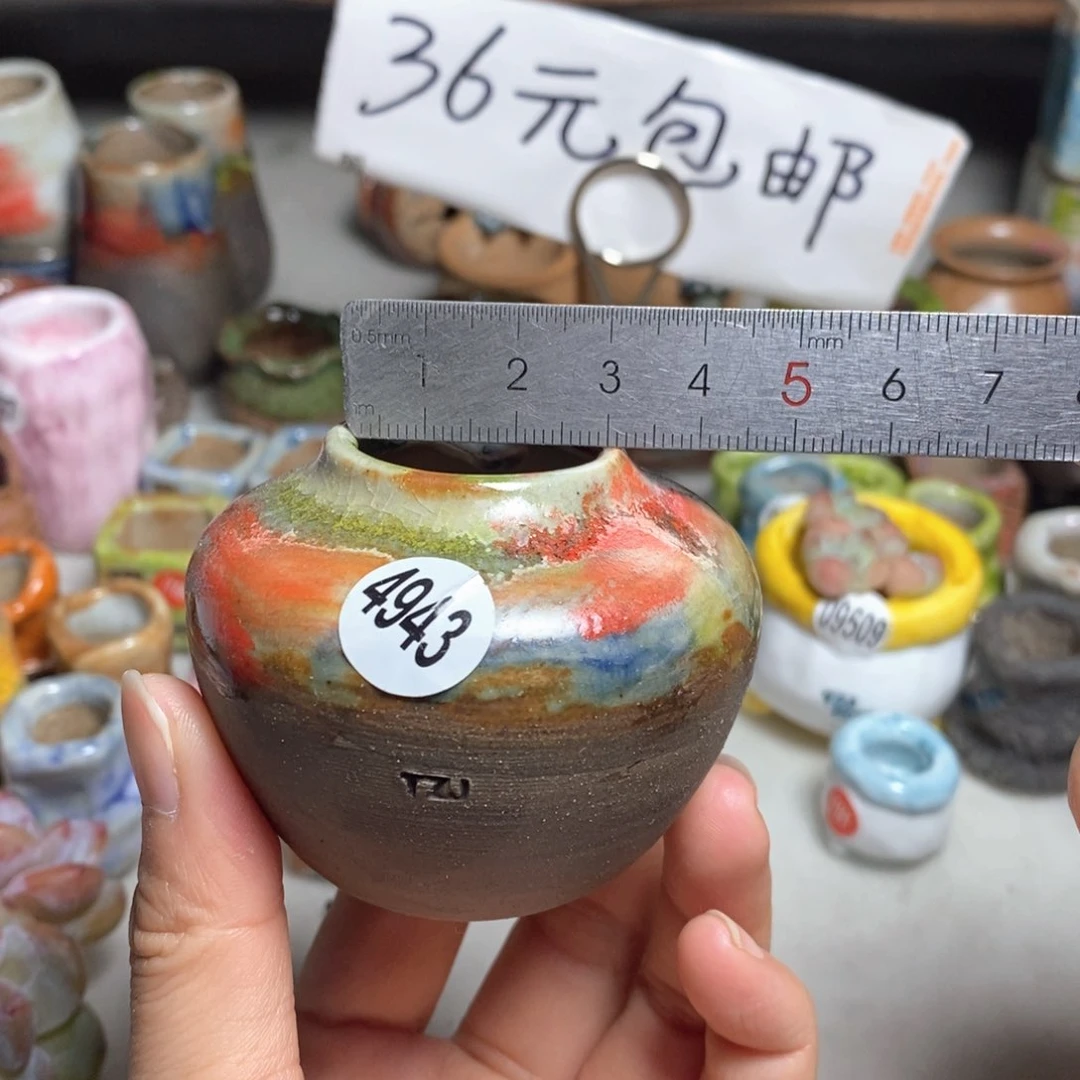拍5送一个小礼物