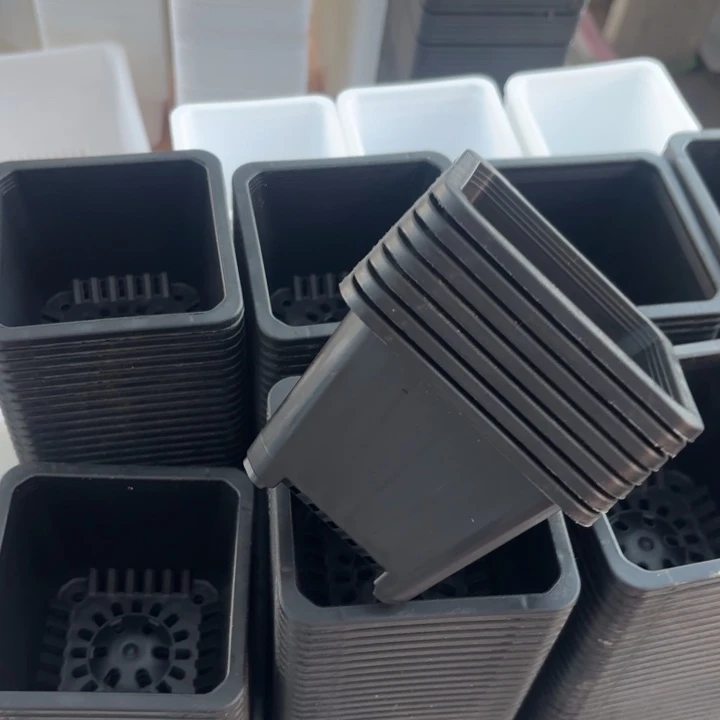 9公分黑方盆10个黑色