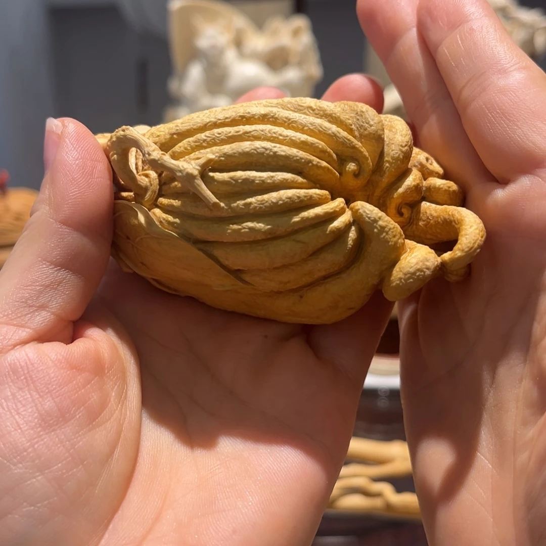 黄杨木手****亮小叶黄杨木