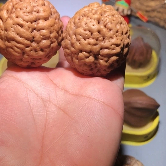 橄榄核把件能哦纹金刚菩提
