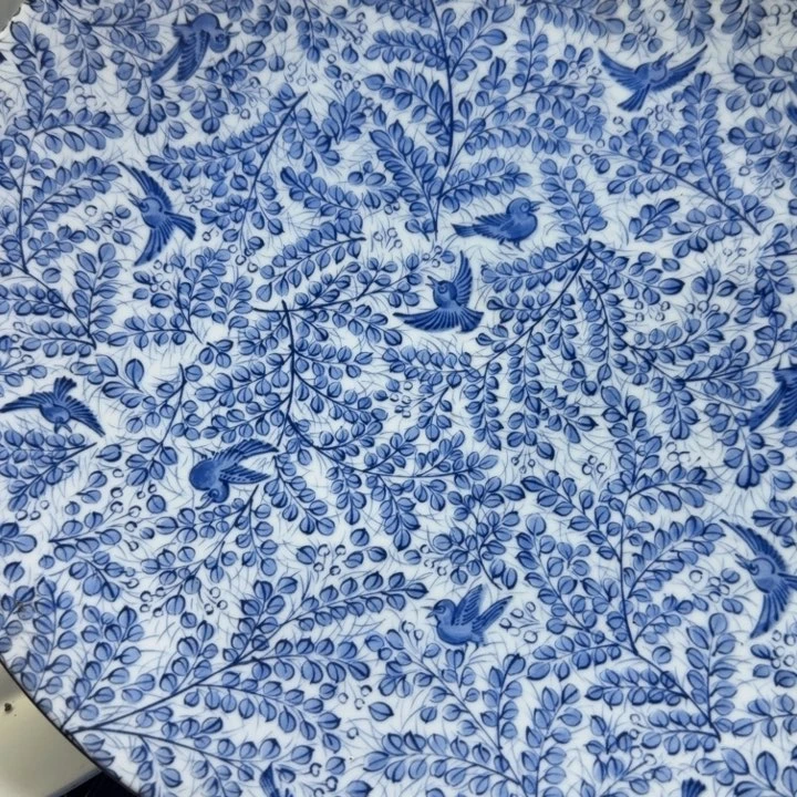 瓷片开播啦…开播啦！