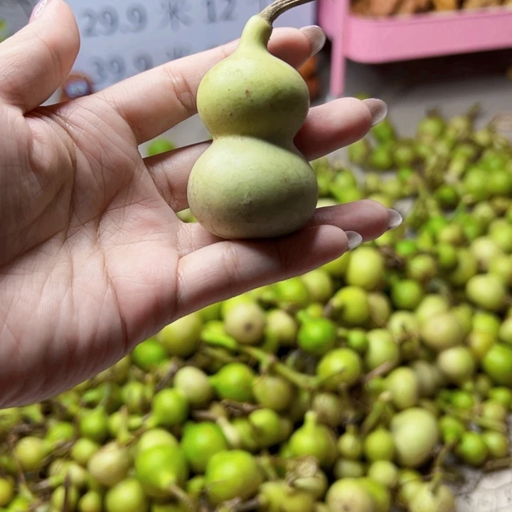 葫芦中国大陆王***，