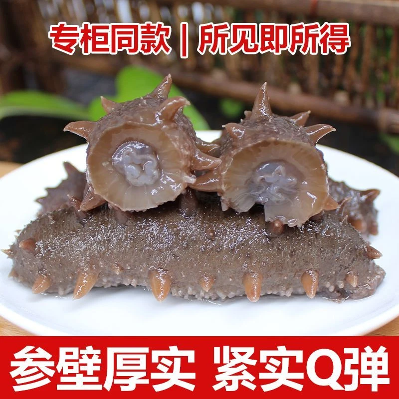 [拍30到手36]即食海参渤海湾拍30到手36根Q弹缓化即食