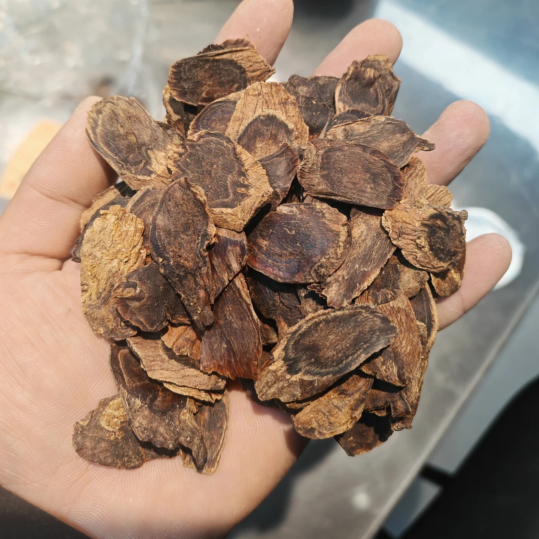 老高丽参花纹片｜大小不一（残片）