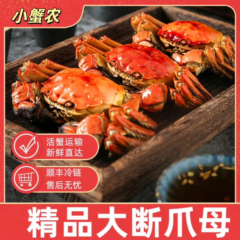 【活蟹】 兴化大闸蟹 大母蟹单只2.8两起2斤1组 顺丰发货