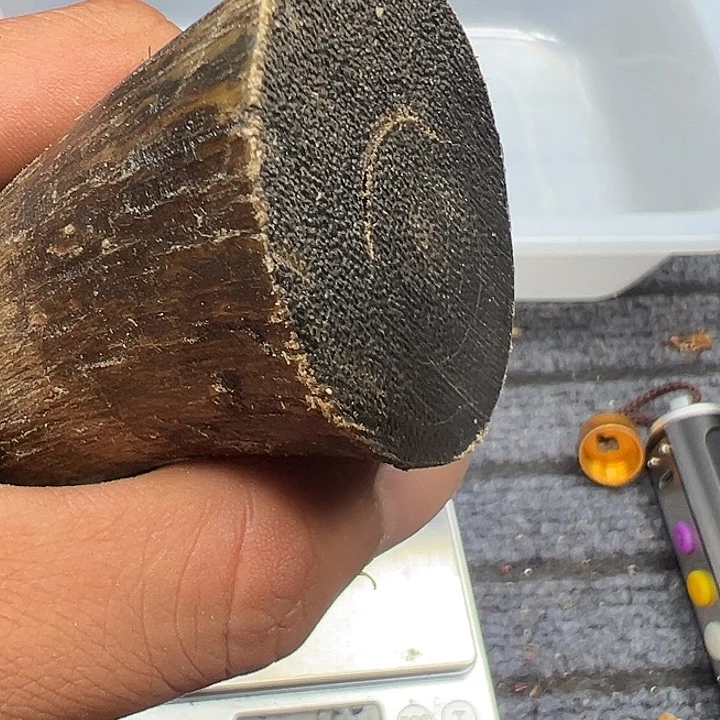 香榧木X44 非洲花梨大果紫檀