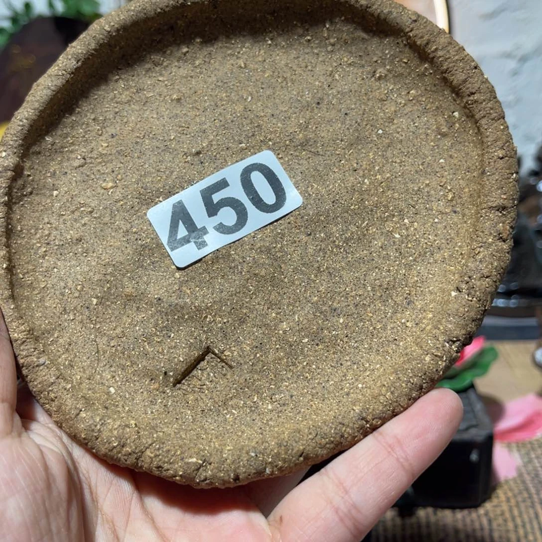 木村信弘柴烧保平