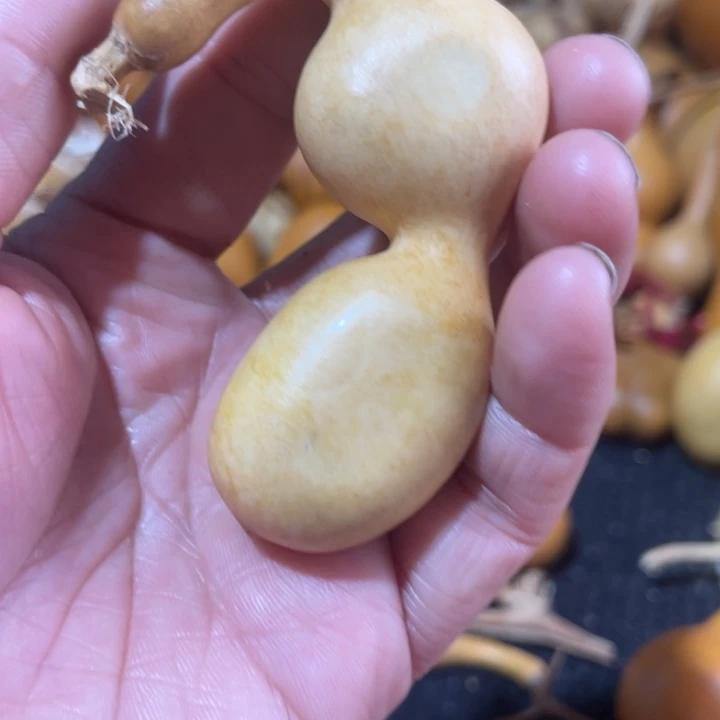 窈***窕葫芦葫哈哈哈哈哈哈