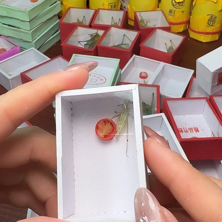 A***王蟋蟀一条青竹。