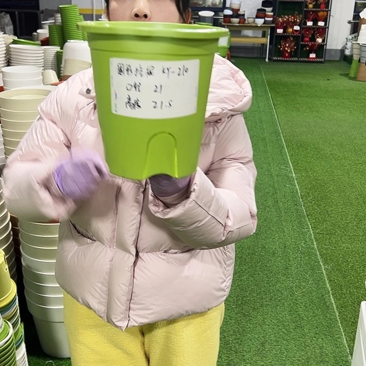 正品圆控口21高21果绿8只无托