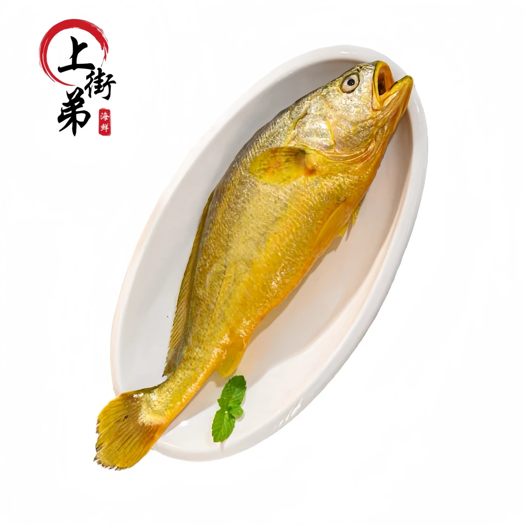 【黄瓜鱼】 福州发货 新鲜冷冻 肉质鲜美包鲜净含量500g起海鲜
