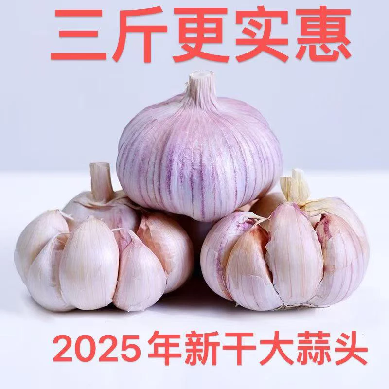 【低价冲量】干蒜2025干大蒜新晒紫白皮干蒜农家大蒜大个头新鲜大蒜
