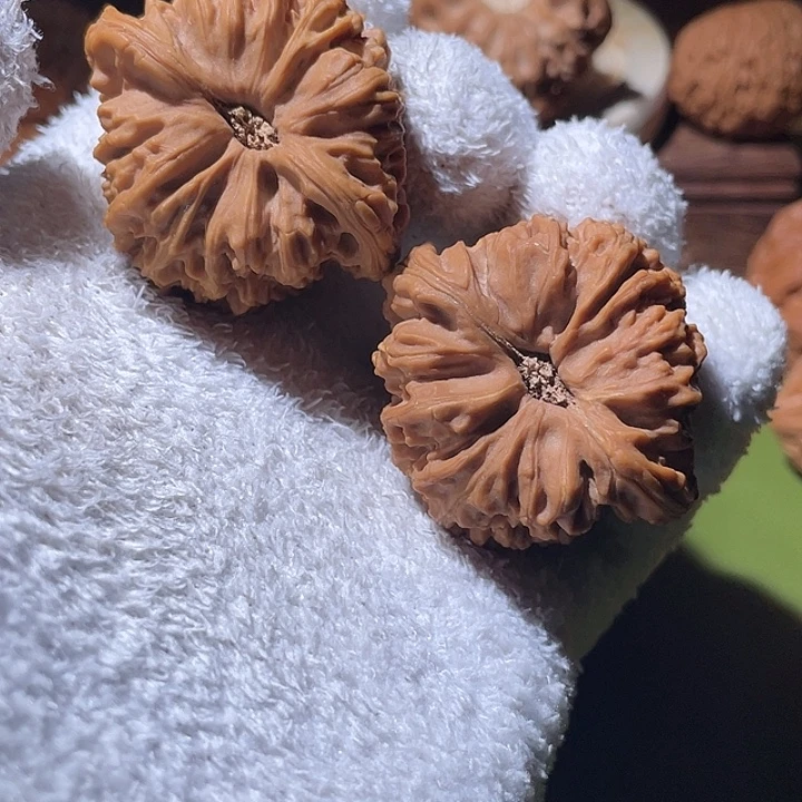 N***g43.8精品南疆核桃核桃