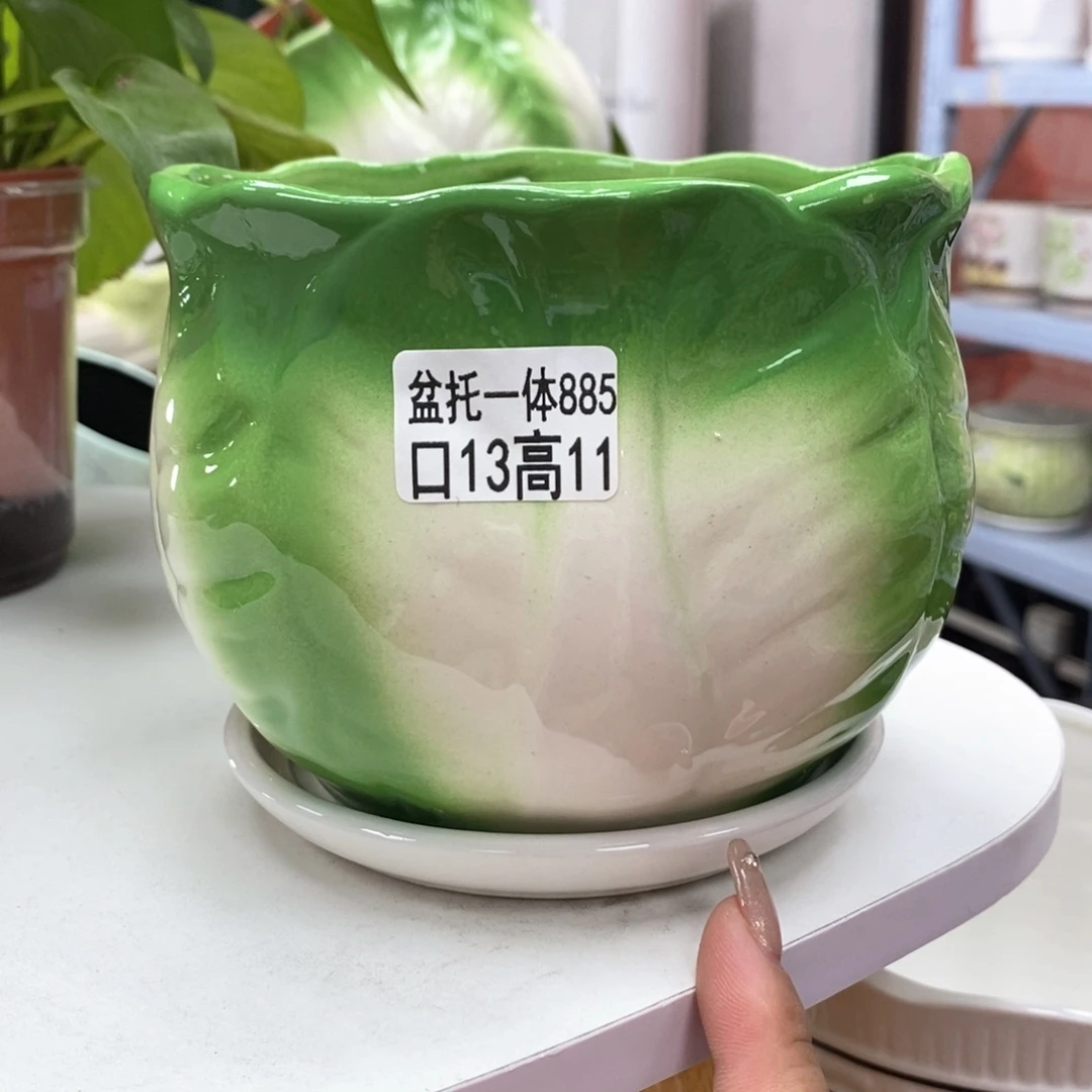 陶瓷@陶瓷花盆@@5885