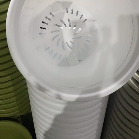 树脂四季7号无托纯白6个