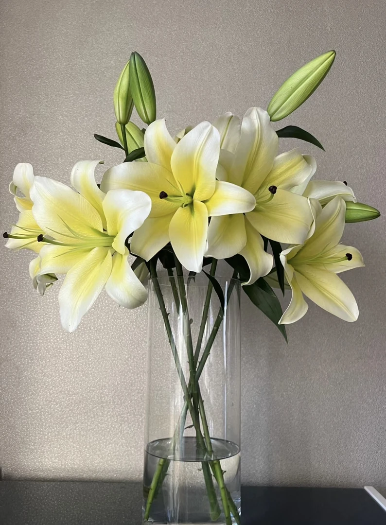 黄色香水百合 10朵
