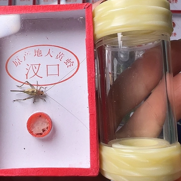 飞***达哈哈哈哈哈哈哈哈哈哈哈