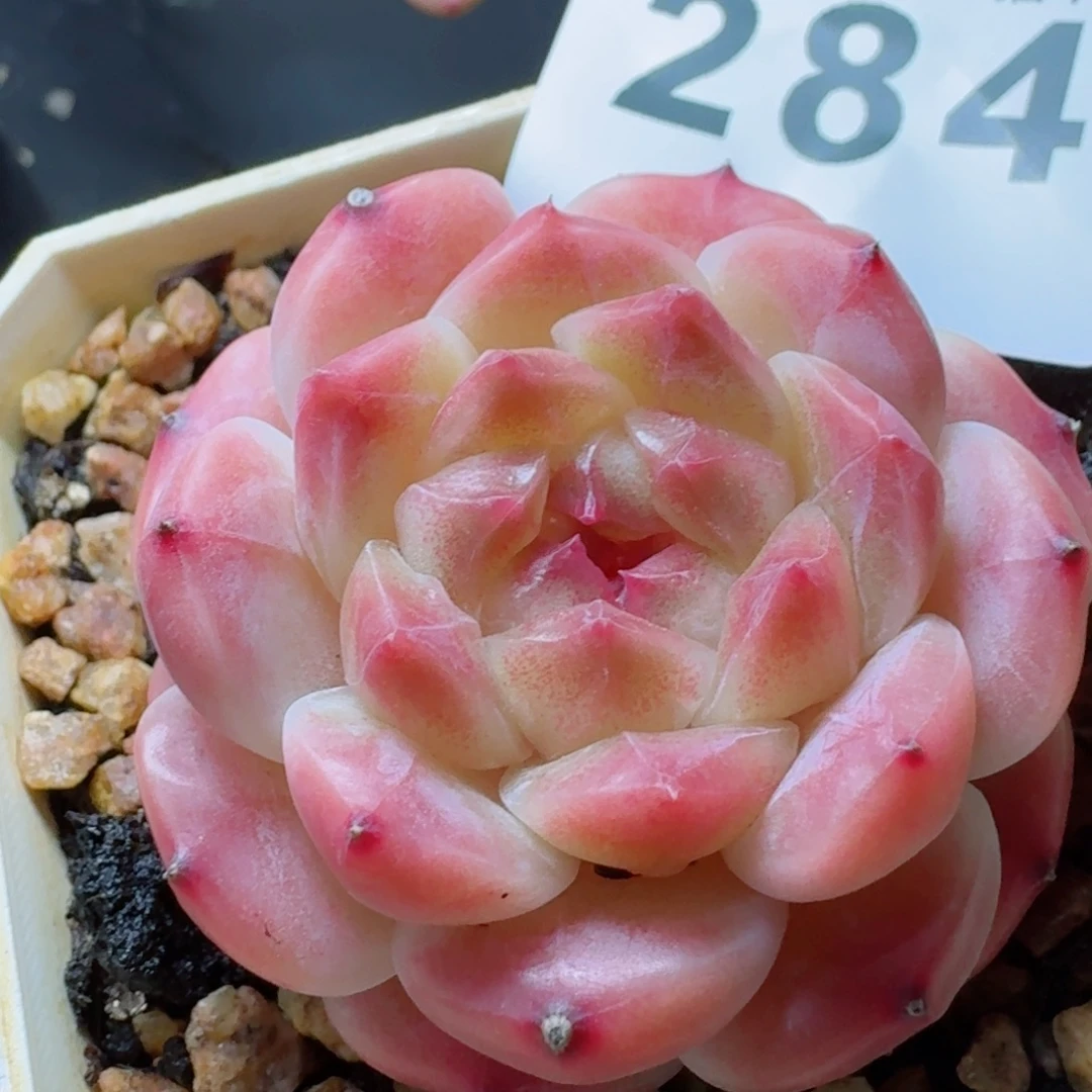 秘境冰魄      愿你一路坦途，乘风破浪展宏图