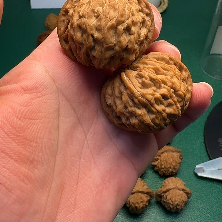 把件文玩核桃闪6，山地磨44