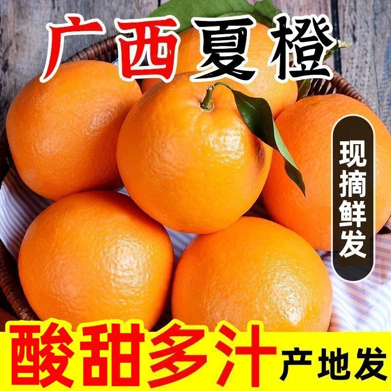 广西新鲜夏橙高山老树橙子酸甜多汁薄皮橙香浓郁应季水果产地直发
