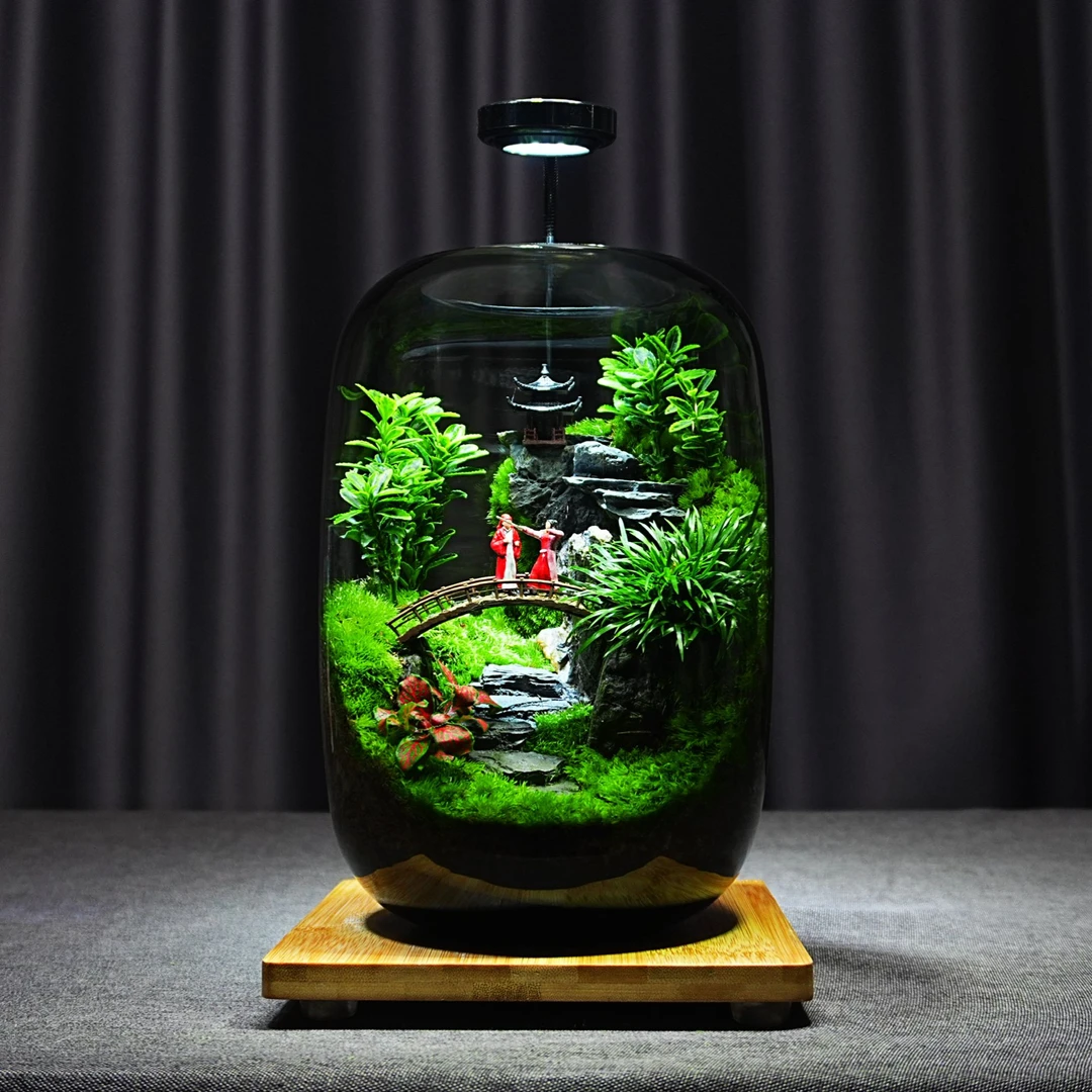 大话西游【一生所爱】创意桌面绿植苔藓微景观植物盆景成品高端礼物