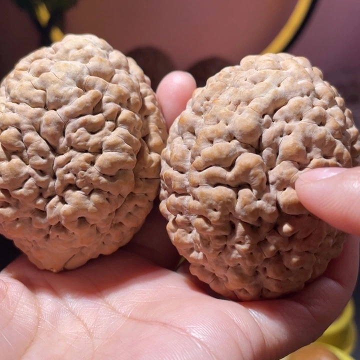 桃核把件疙瘩龙金刚菩提