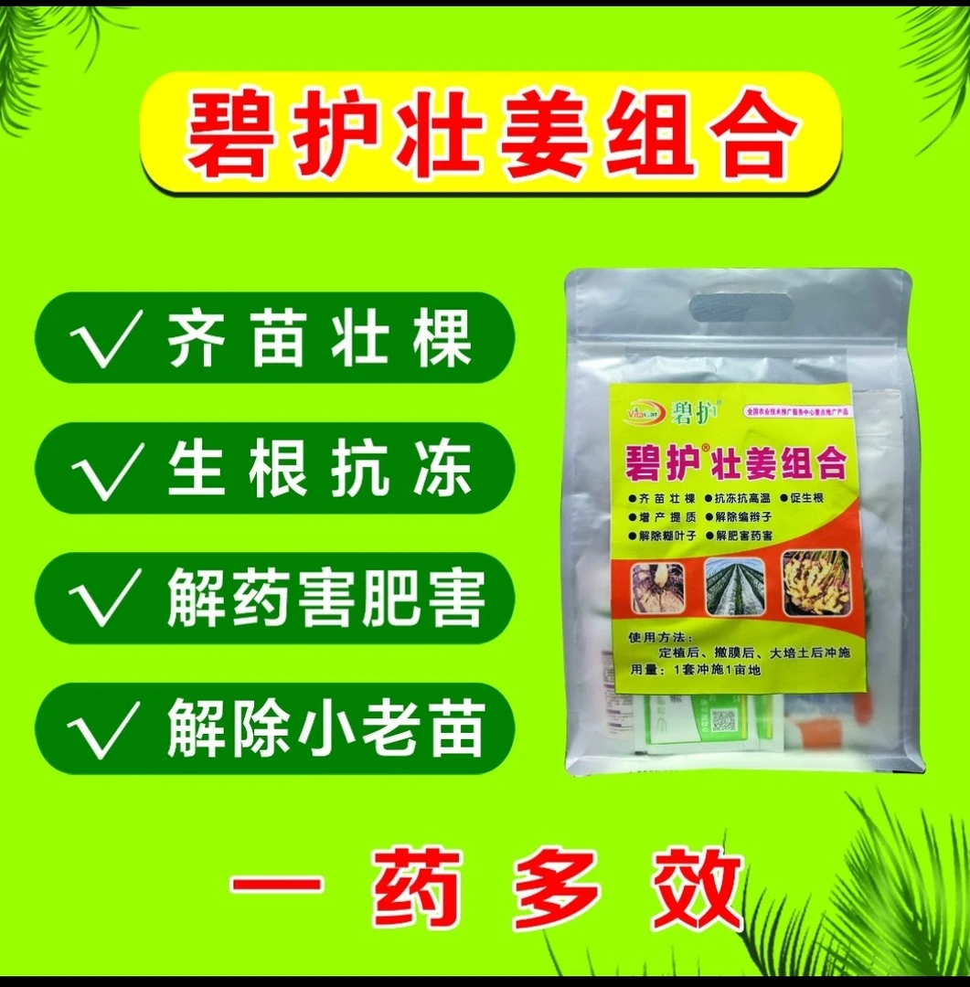 德国碧护壮姜冲施组合拍10送1抗高温促生根使苗齐苗壮1套1亩地