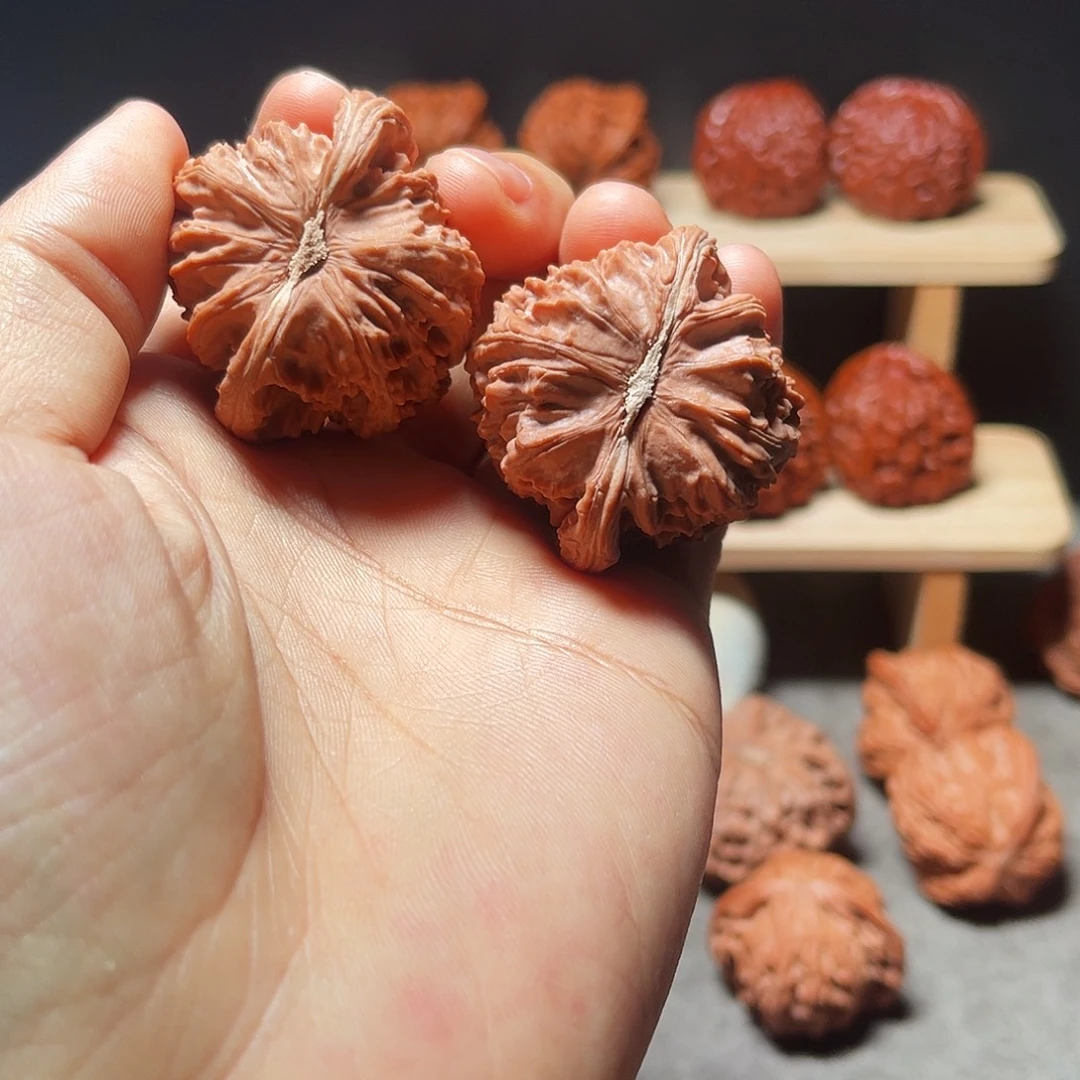 潘***斯文玩核桃把件白狮子