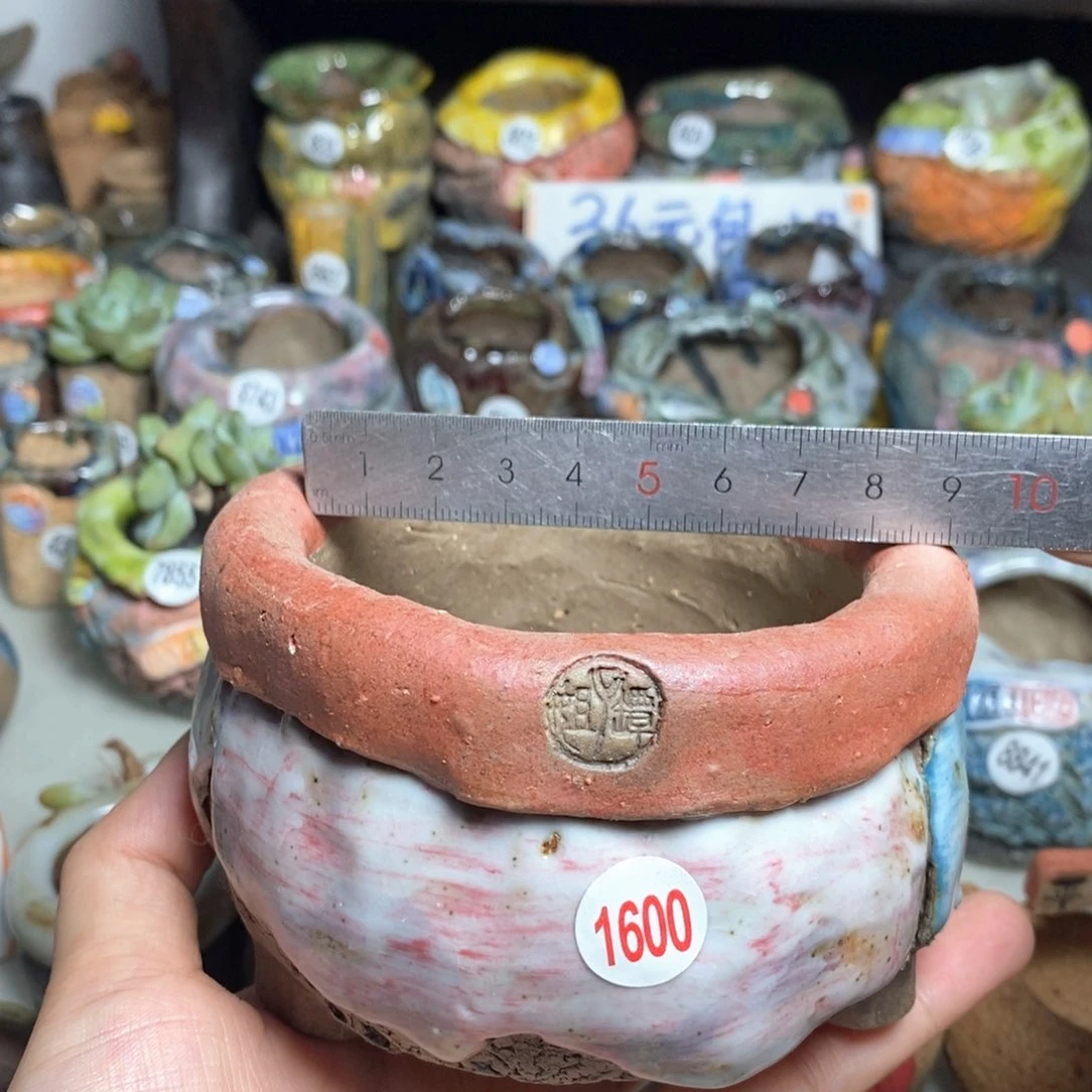 拍3送一个小礼物