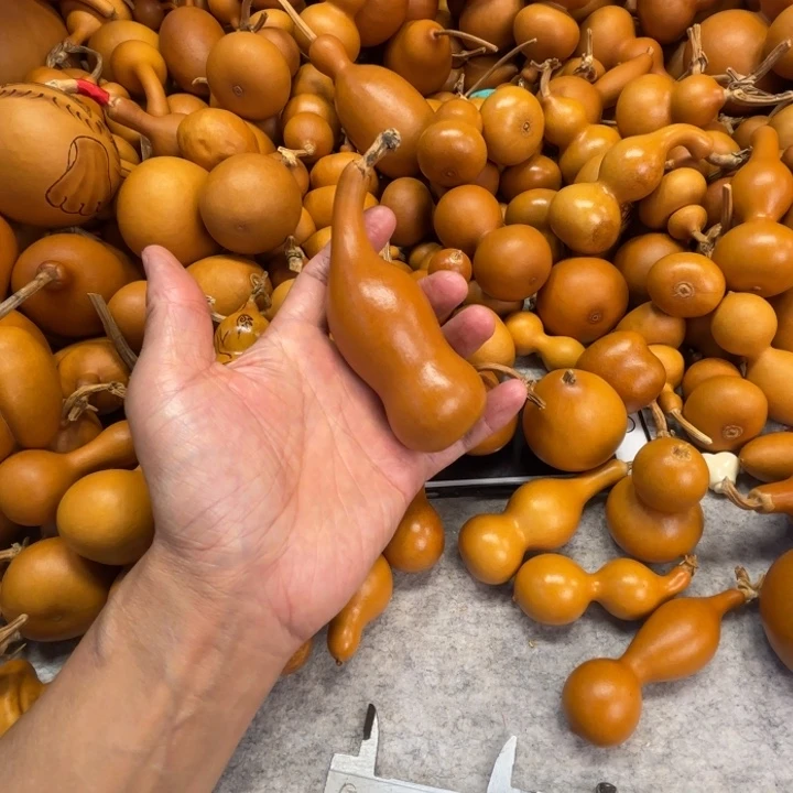 开***心开心的一把一把，本场葫芦开心的