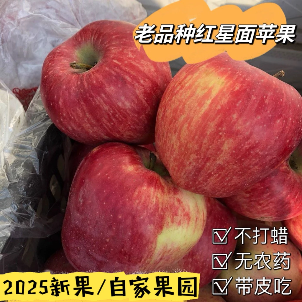 粉面沙甜糯苹果老人宝宝刮泥新鲜水果整箱5斤红星苹果